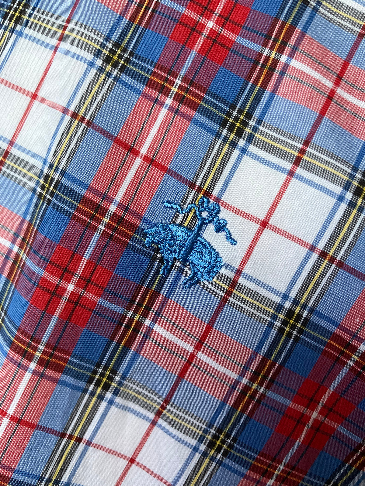 Check Button-Down Shirt